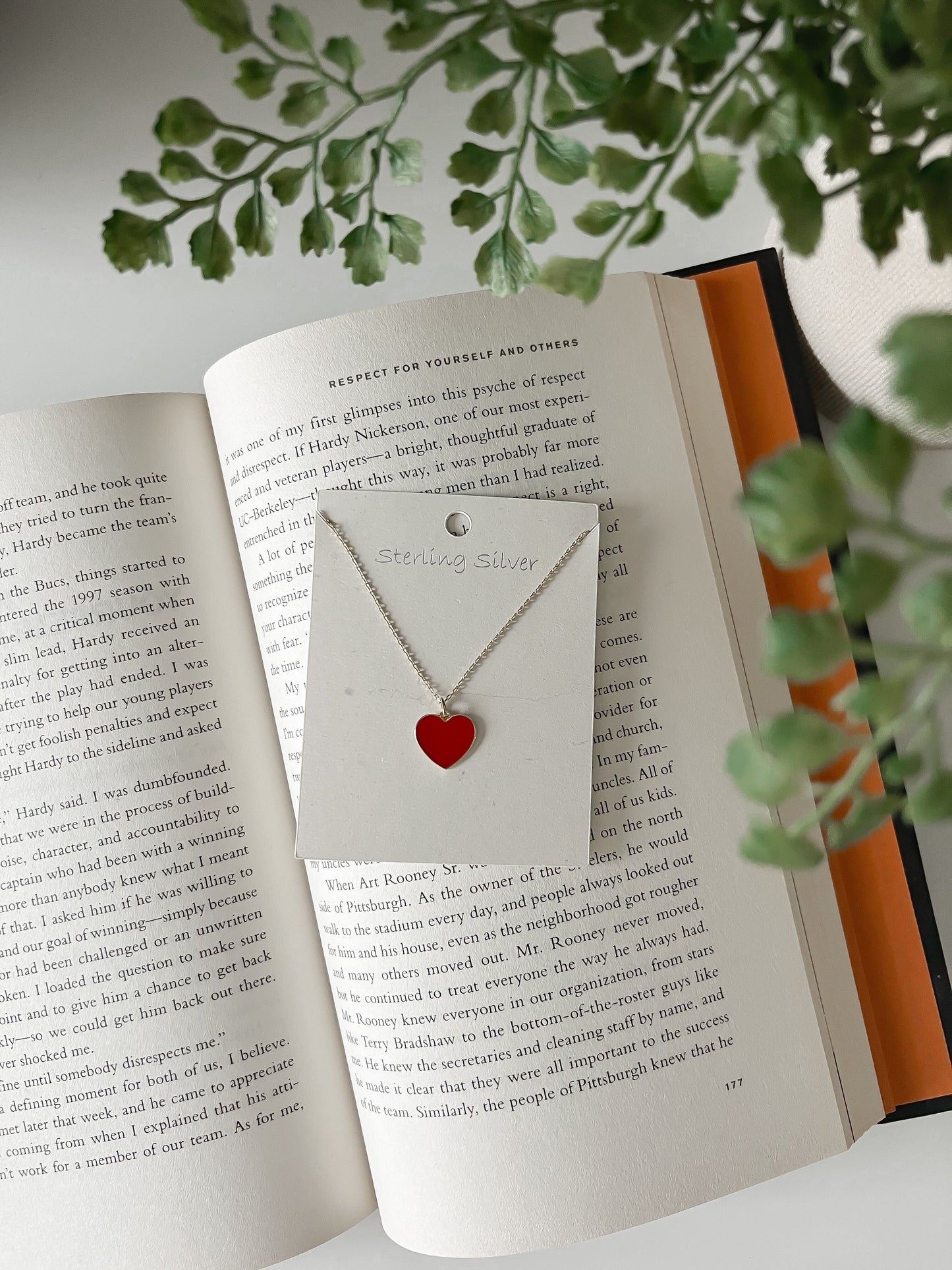 Sterling Silver Red Heart Shape Pendant Necklace