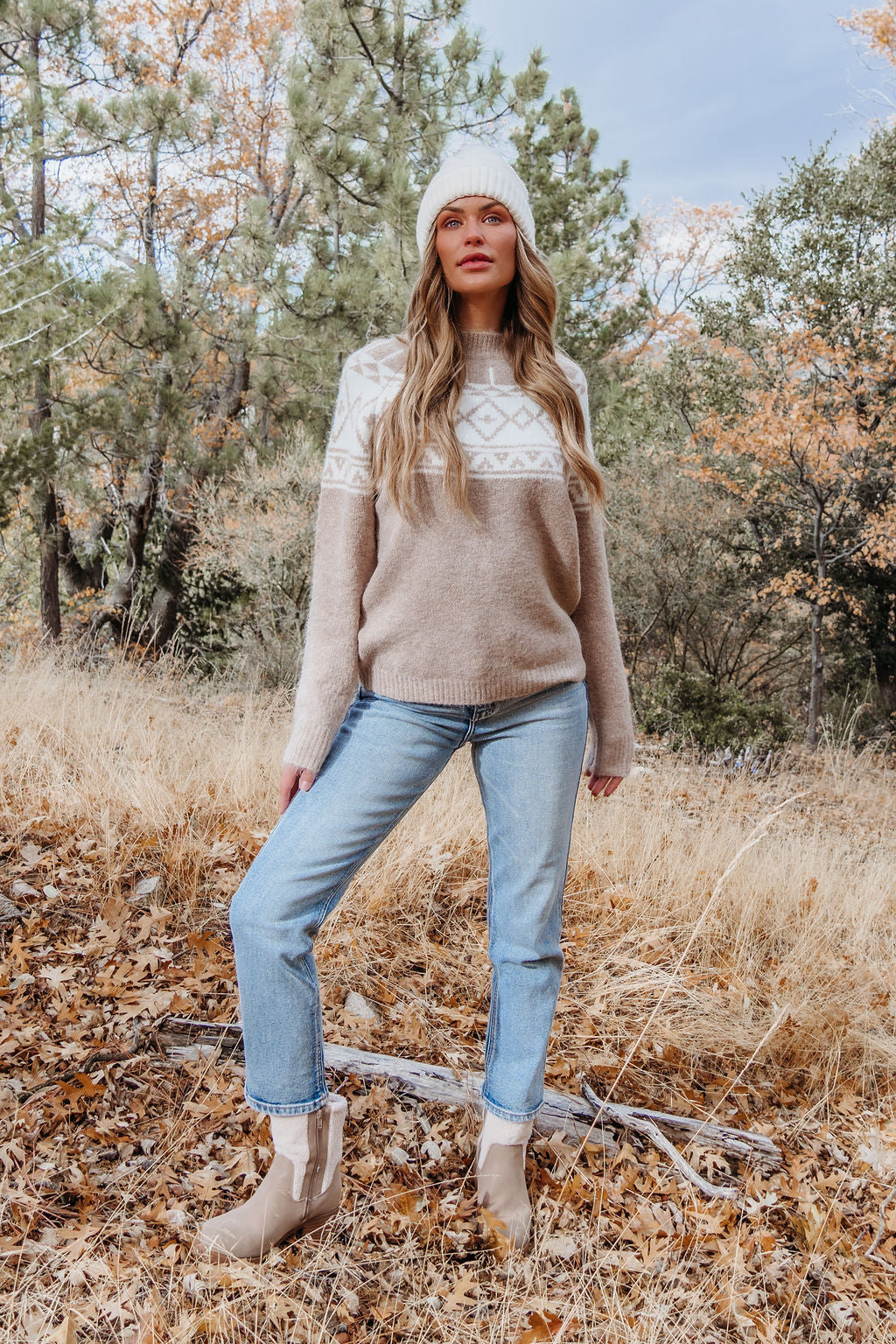 Taupe Aztec Print Mock Neck Sweater