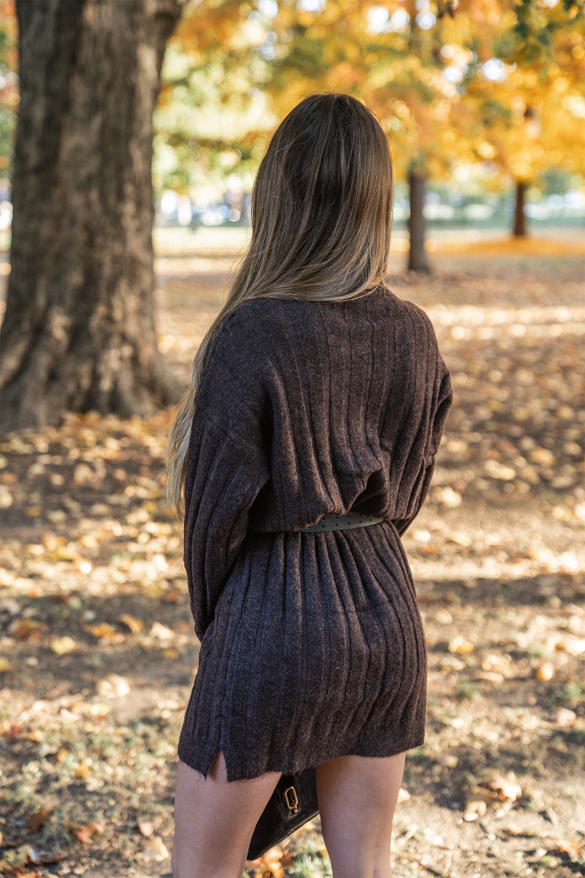 Brown Mock Neck Sweater Dress - Magnolia Boutique