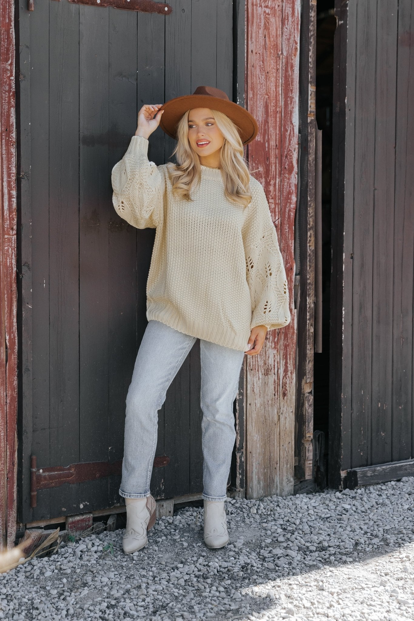 Crochet Sleeve Pullover Sweater - Cream - Magnolia Boutique