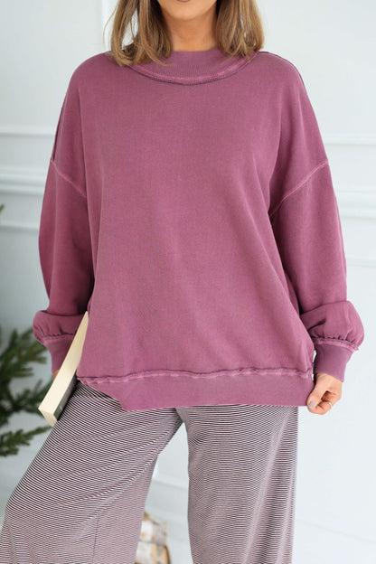 Woman in a Free People Iris Orchid Palm Springs Pullover and striped pants stands indoors holding a book, with a plant behind her.